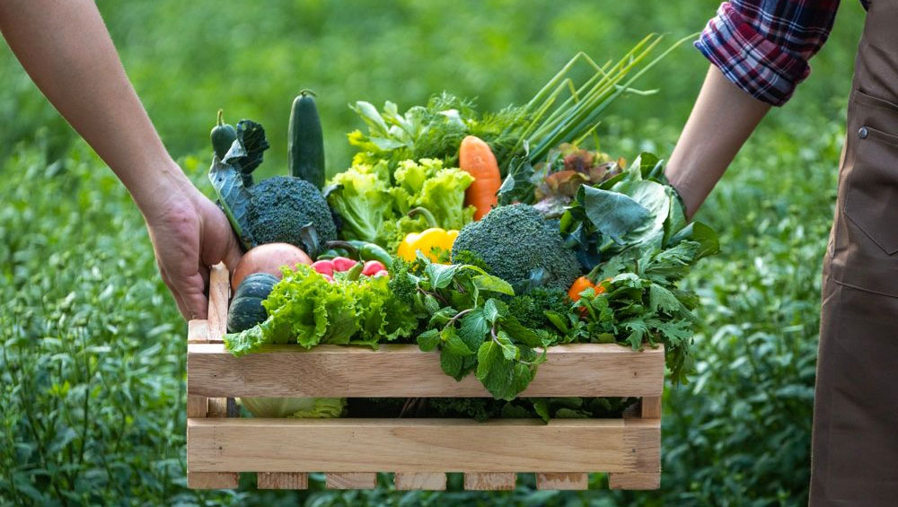 Export Boom – India’s Organic Products Surge 35% to $666 Million in Global Markets